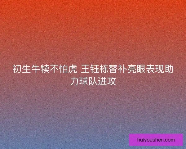 初生牛犊不怕虎 王钰栋替补亮眼表现助力球队进攻 初生牛犊不怕虎 王钰栋替补亮眼表现助力球队进攻